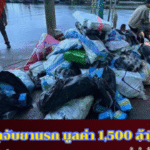 qqqqqqqqqqqqqqq_20250622_191659_0000